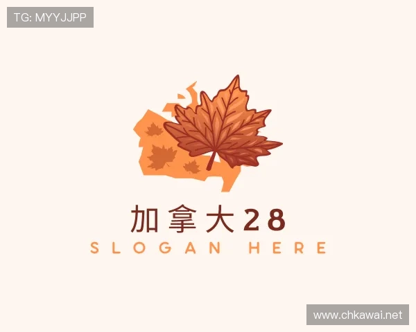 解读加拿大28